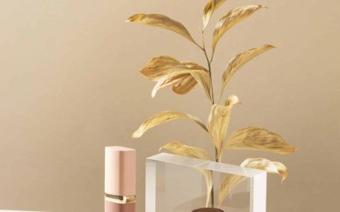 minimalist product styling